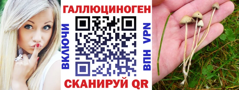 дарк нет формула  Тогучин  Псилоцибиновые грибы ЛСД 